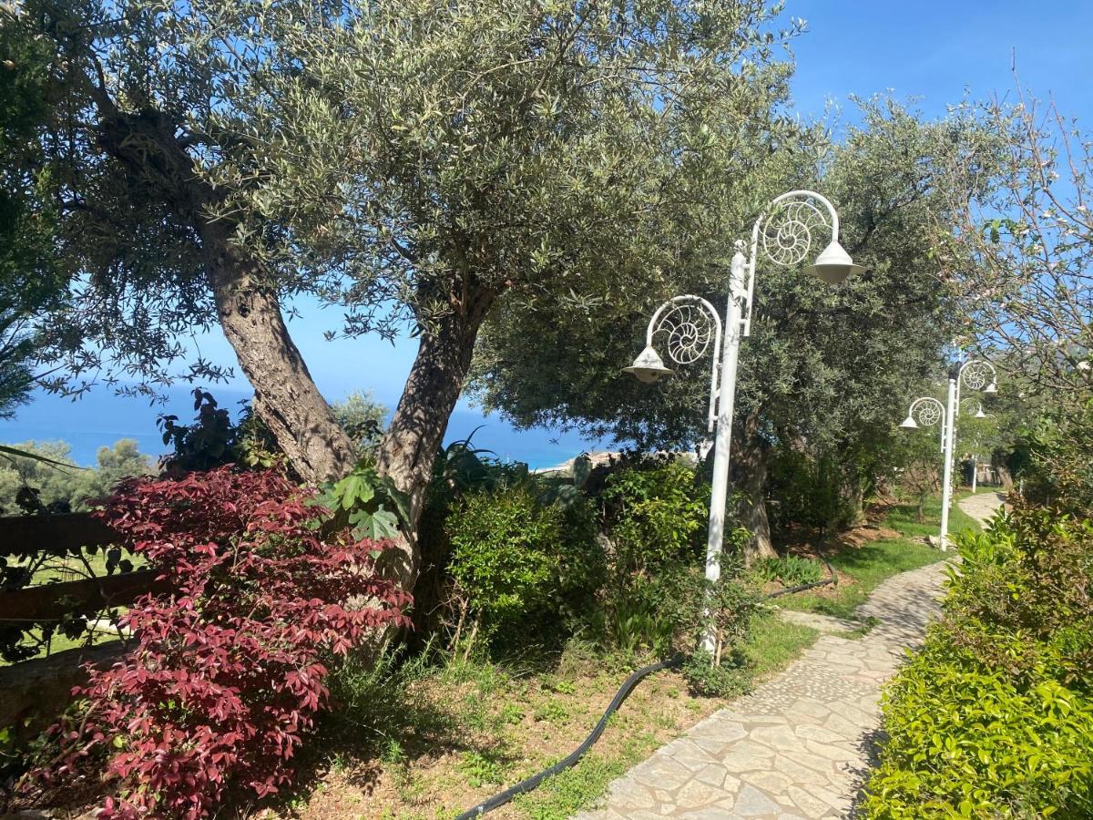 דרמי Newly Renovated Apartment Olive מראה חיצוני תמונה