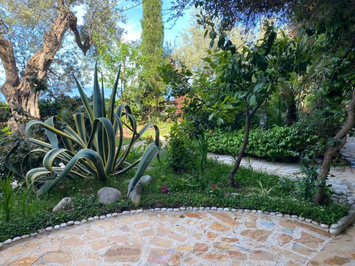 דרמי Newly Renovated Apartment Olive מראה חיצוני תמונה