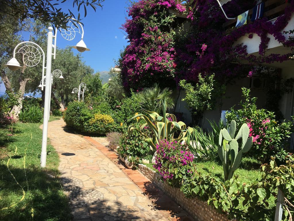 דרמי Newly Renovated Apartment Olive מראה חיצוני תמונה